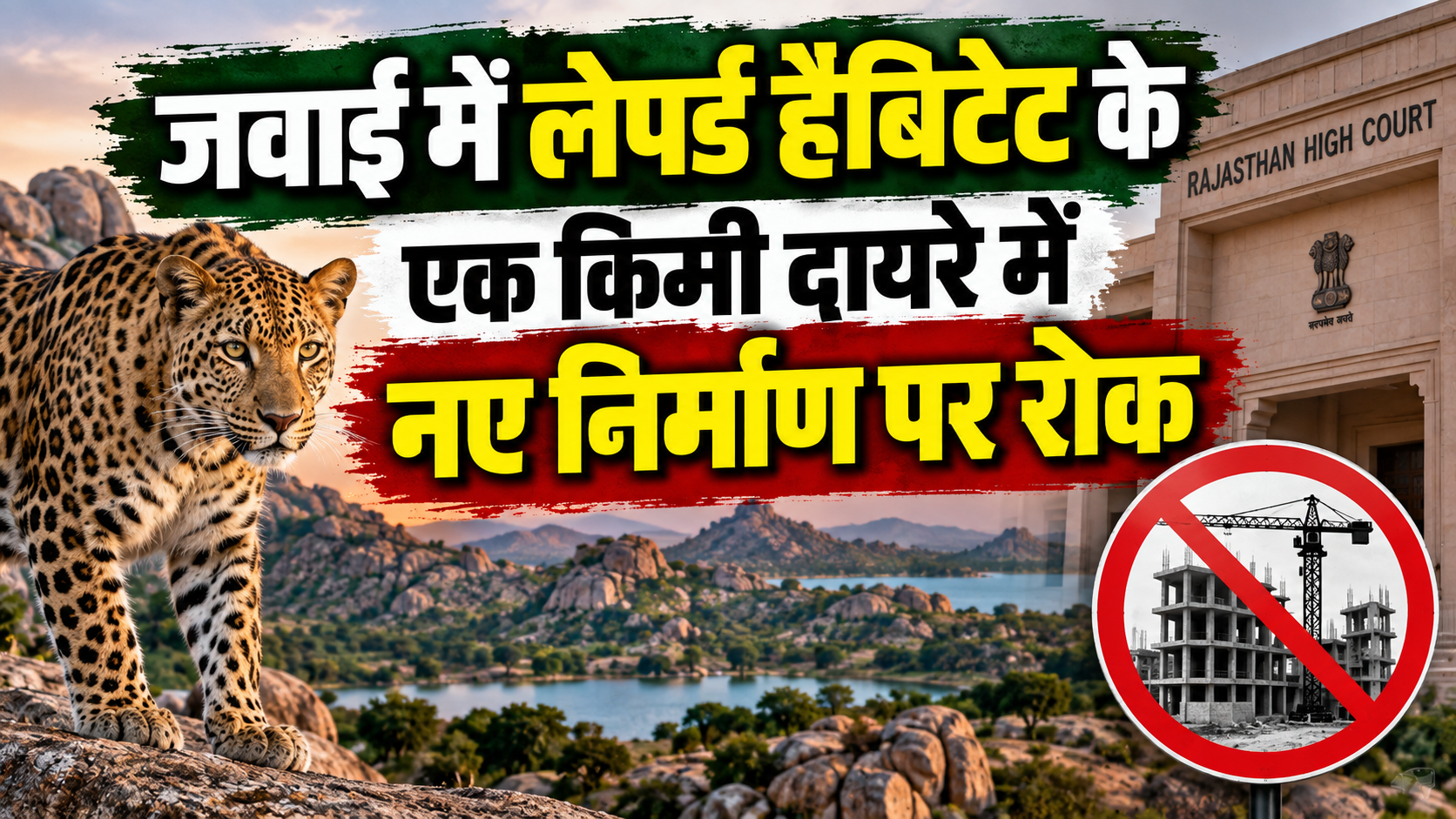 जवाई में लेपर्ड हैबिटेट के एक किमी दायरे में नए निर्माण पर रोक, हाईकोर्ट का बड़ा आदेश